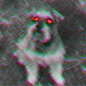 Meet your Posher, Joy